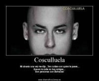 /album/fotogaleria/a0873a1890a5d03dbb5ec88eccf891f1a-jpeg/